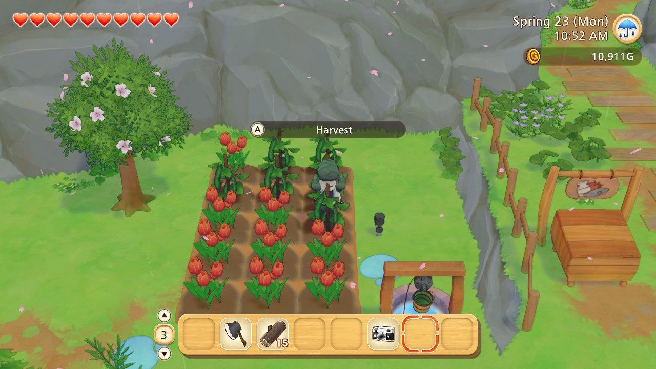 Player harvesting crops in Story of Seasons Pioneers of Olive Town.