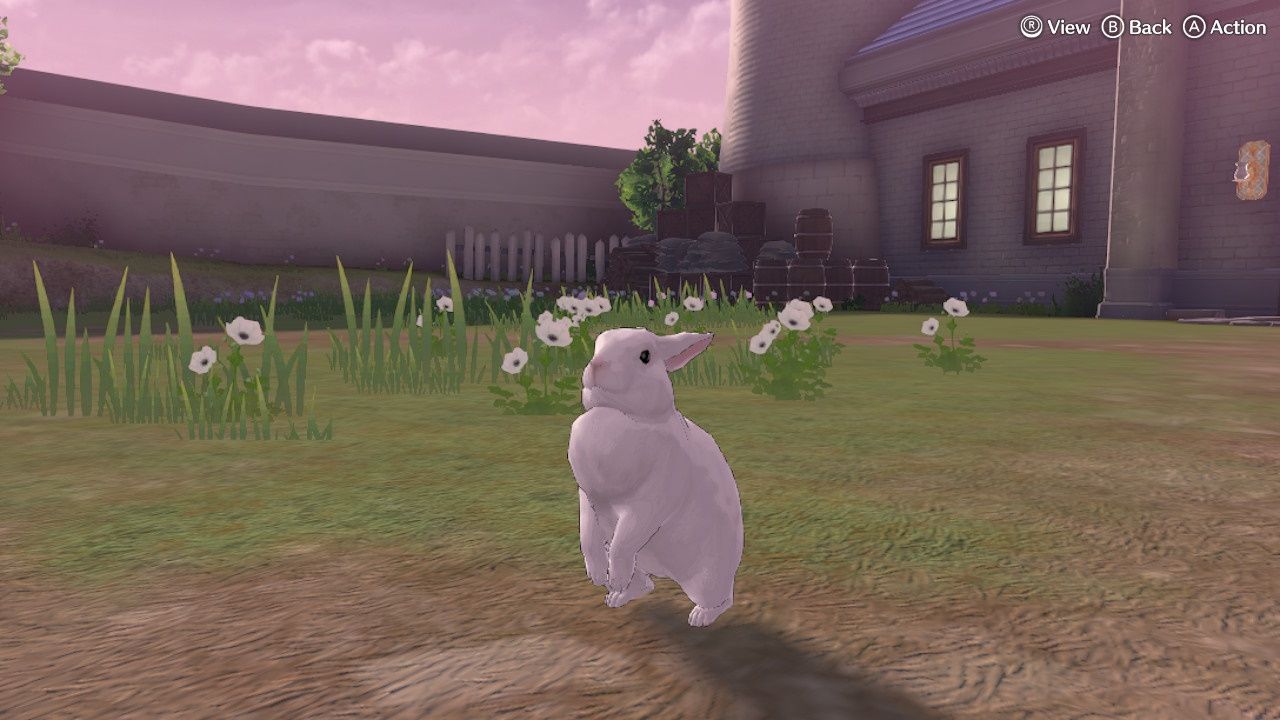 Fire Emblem Engage, An Adorable Rabbit