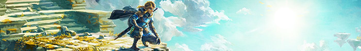 The Legend of Zelda Tears of the Kingdom Banner