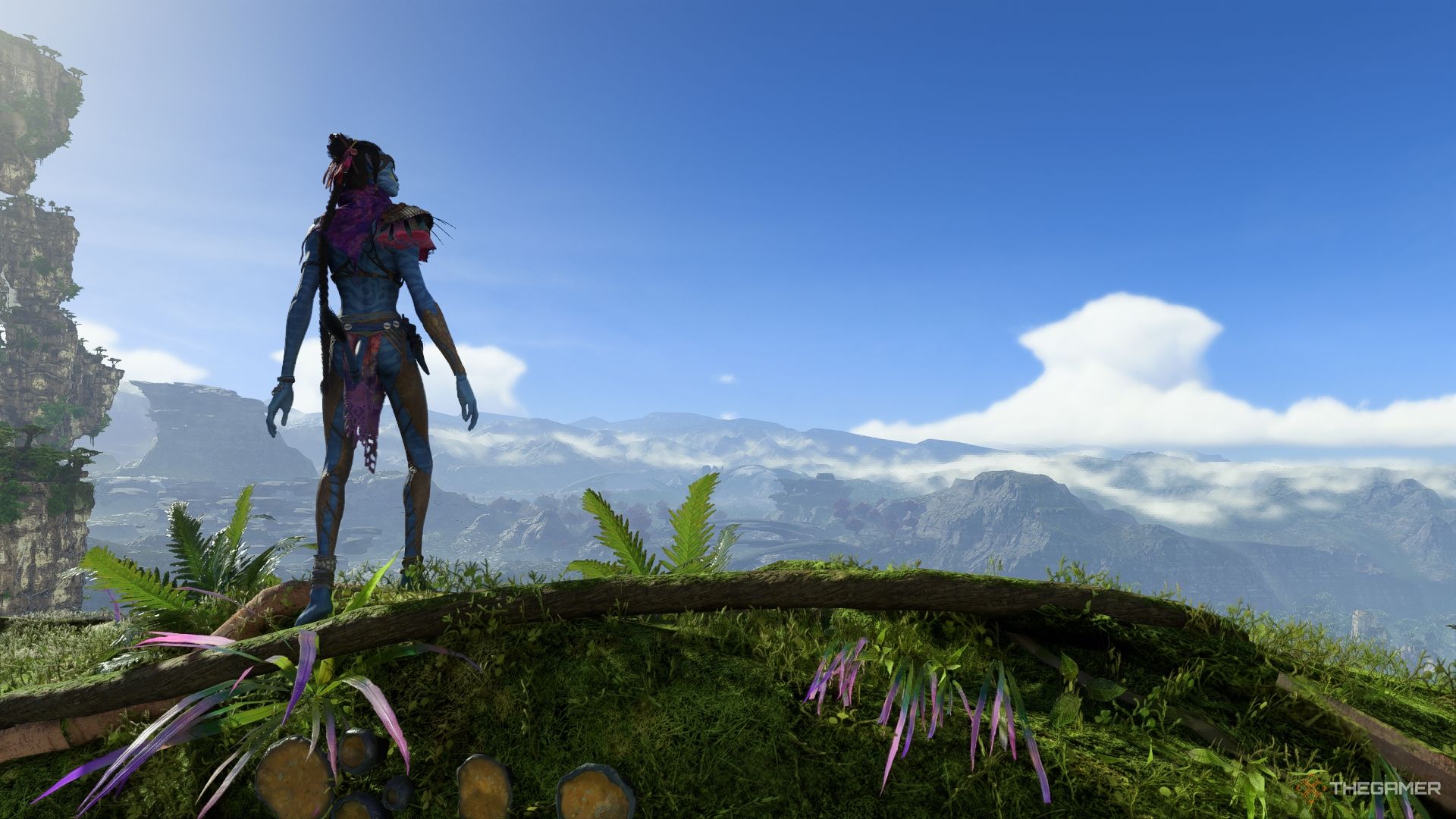 Avatar: Frontiers of Pandora Etuwa looking over Pandora