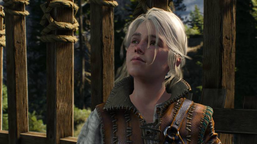 Witcher 3 Young Ciri