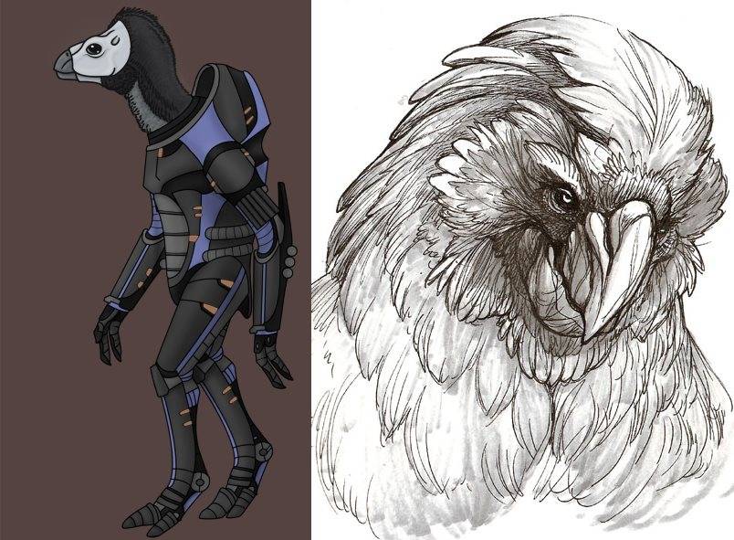 Ranking The Best And Worst Mass Effect Races From The Milky Way
