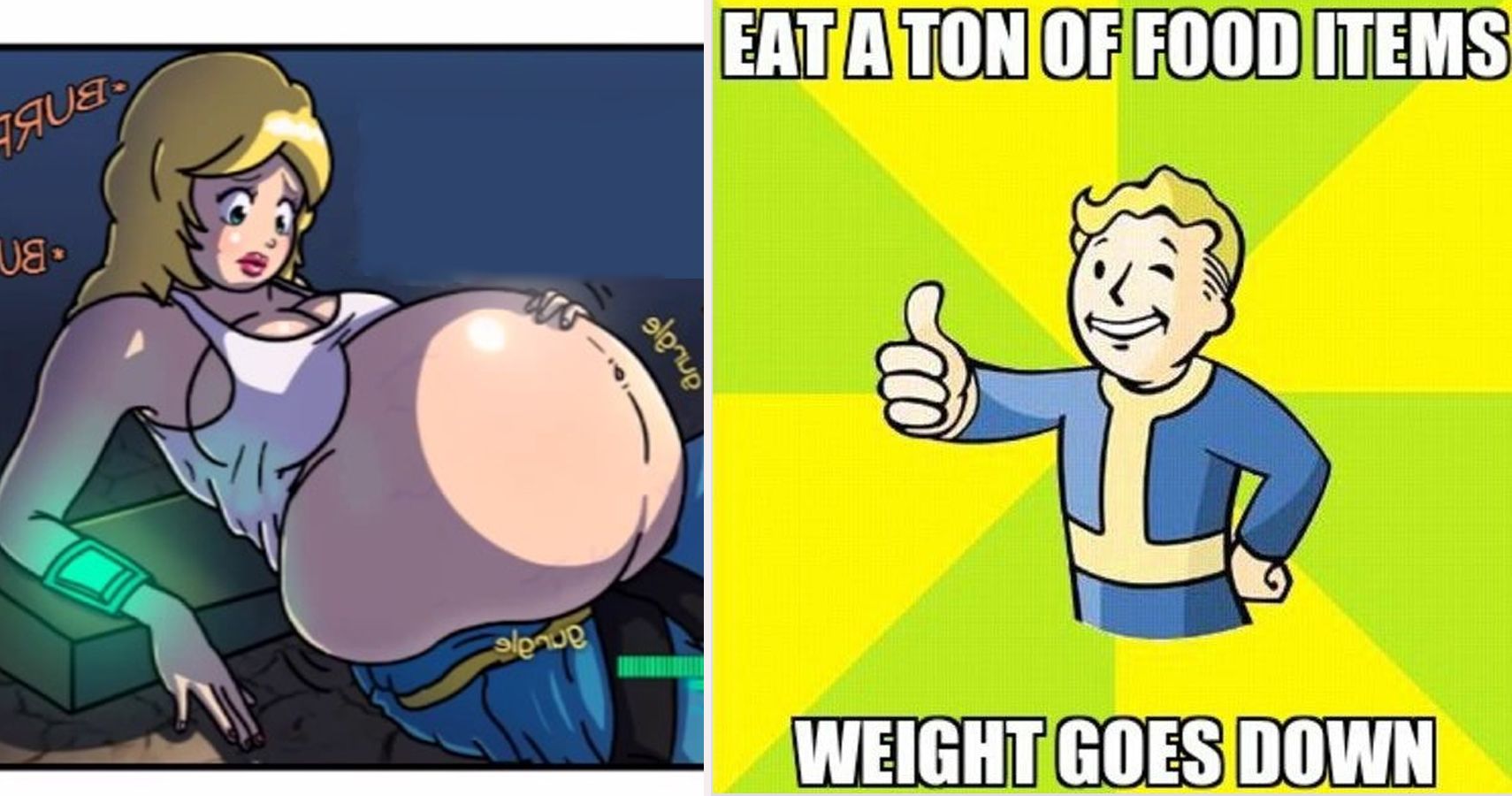 Fallout Logic Memes That Are Too Hilarious For Words TheGamer