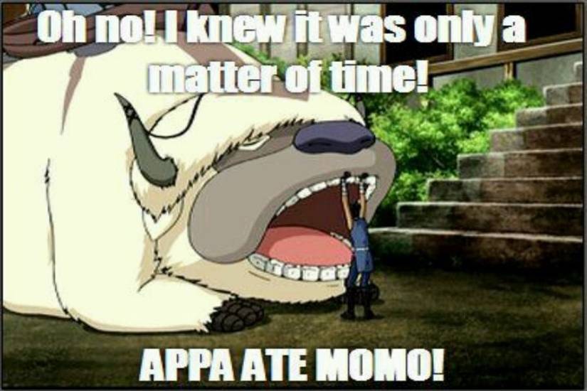 20 Things You Didn’t Know About Appa From Avatar: The Last Airbender