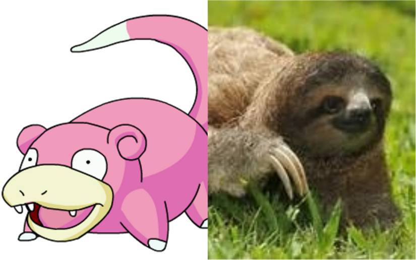 Who's That Pokmon? Pokmon You Can Catch in the Real World! Who's That Pokmon? Pokmon You Can Catch in the Real World!