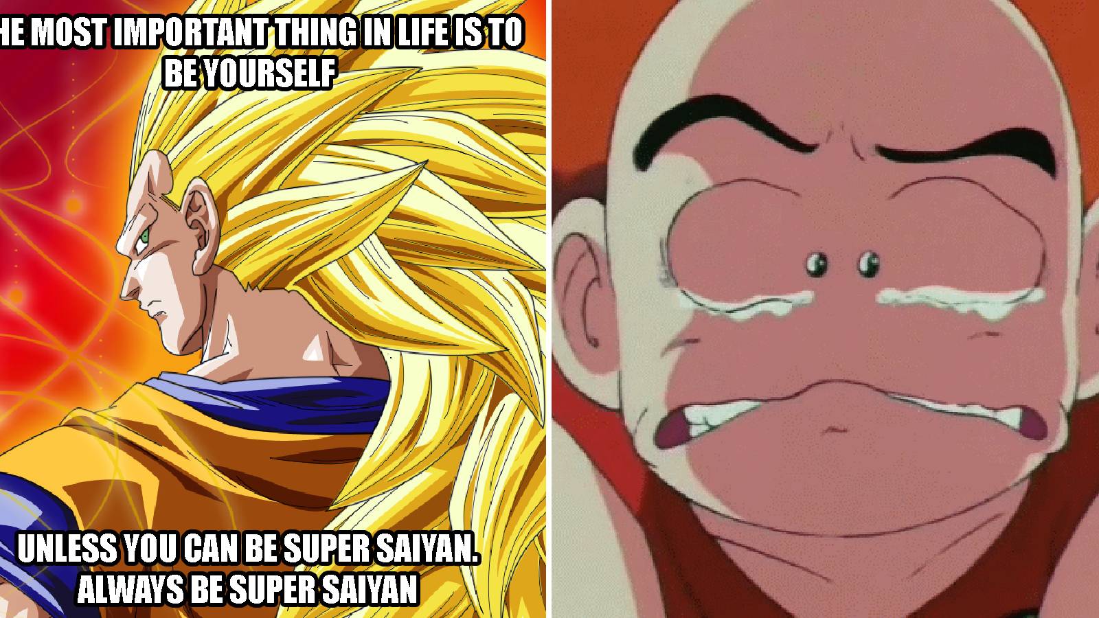 Saiyan Level: Hilarious Dragon Ball Final Form Memes Only True Fans Will  Understand