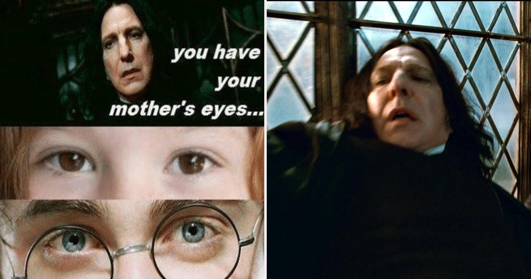 Harry Potter Memes That Prove The Series Makes No Sense