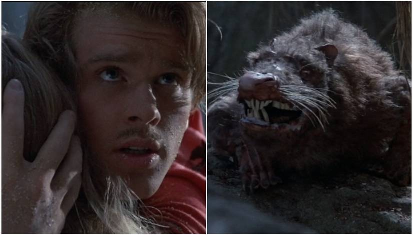 Inappropriate Things You Never Noticed In The Princess Bride