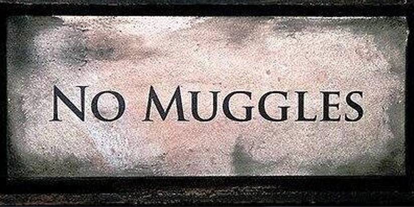 Things You Never Knew About Draco Malfoy