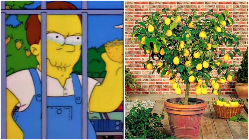 25 Times The Simpsons Predicted Accurately Predicted The Future
