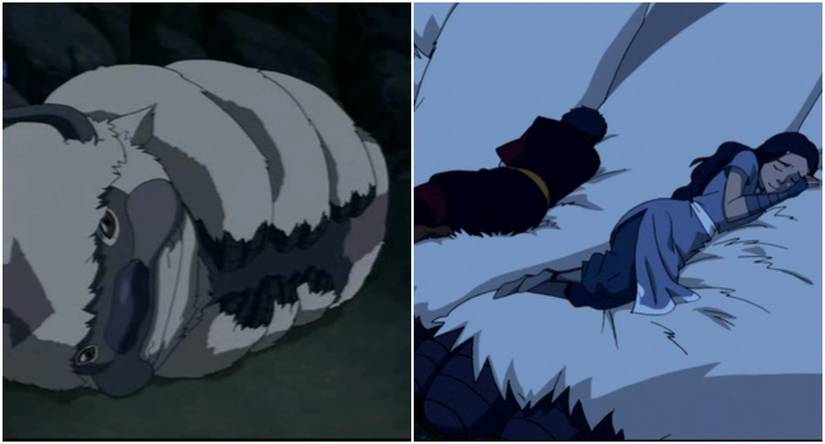 20 Things You Didn’t Know About Appa From Avatar: The Last Airbender