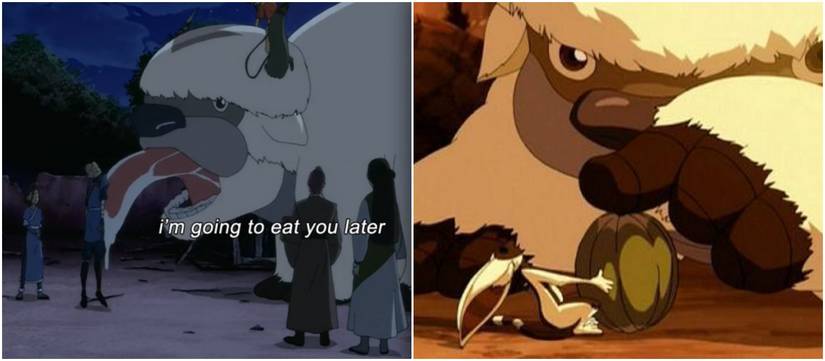 20 Things You Didn’t Know About Appa From Avatar: The Last Airbender