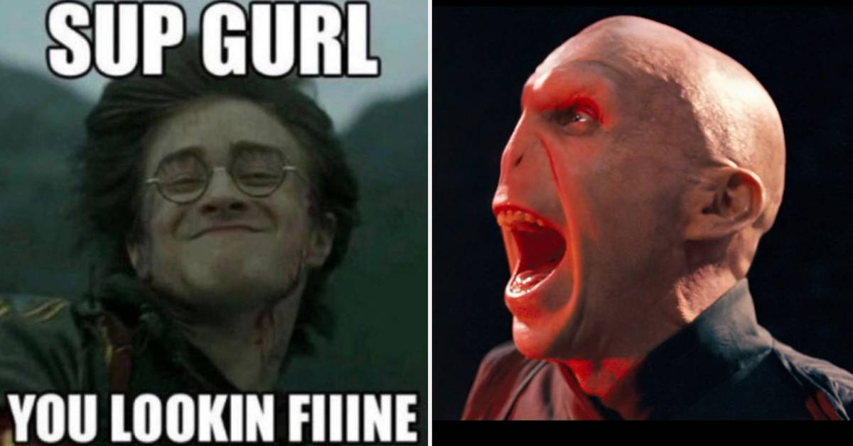 Harry Potter: 25 Hilarious Memes That Would Leave The Dark Lord Laughing
