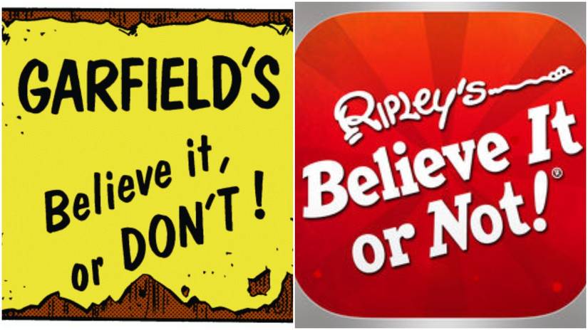 20+ Extra Cool Things You Never Knew About Garfield