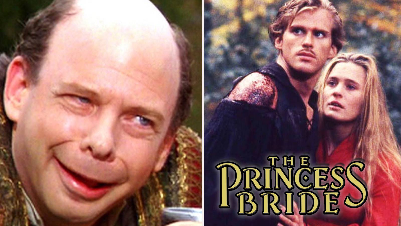 25 Extra Cool Secrets You Never Knew About The Princess Bride