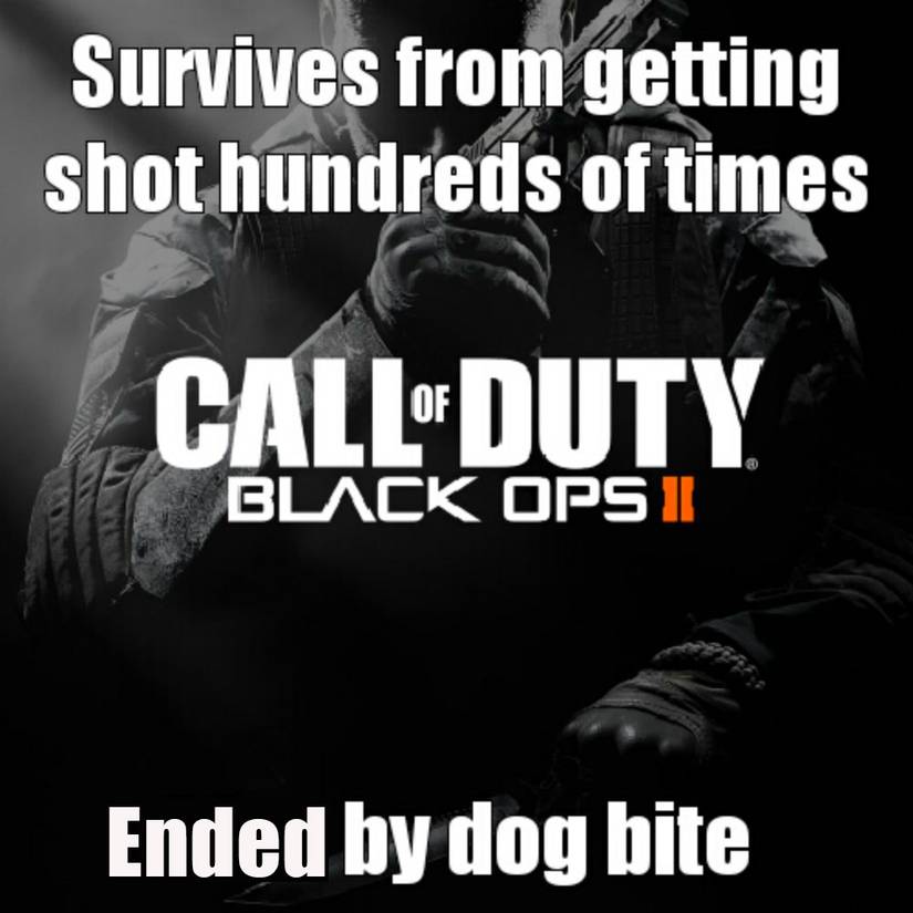 20 Hilarious Call Of Duty Memes That Show The Games Make No Sense