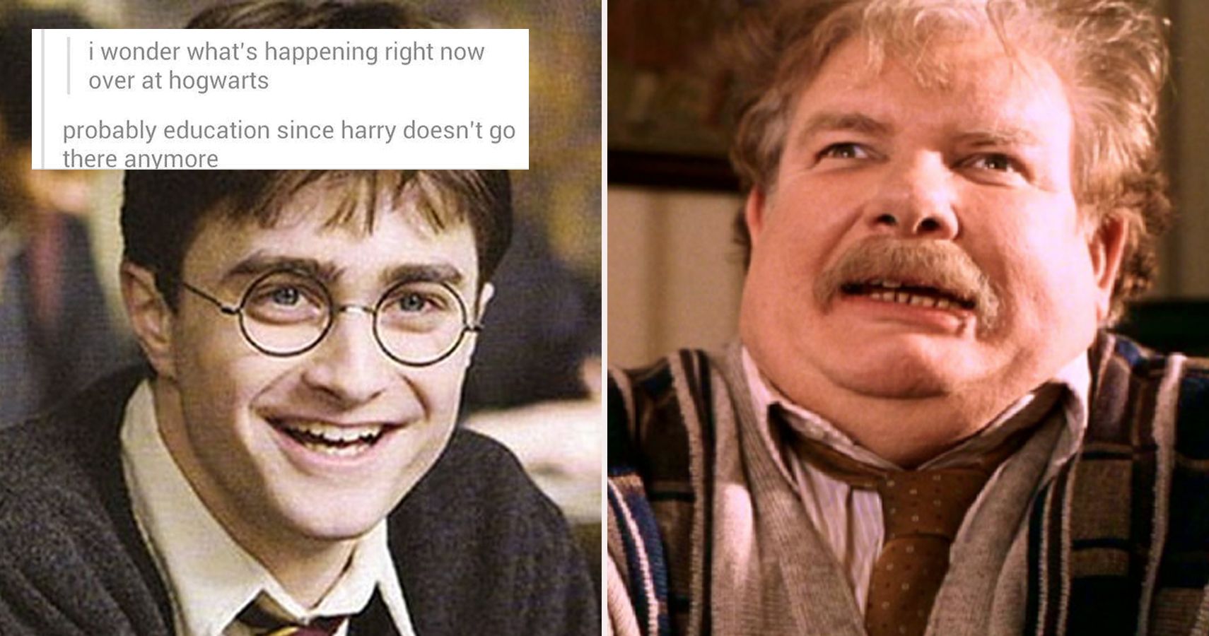 25 Hilarious Harry Potter Memes That Change The Way We See The Franchise, image size:1710x900