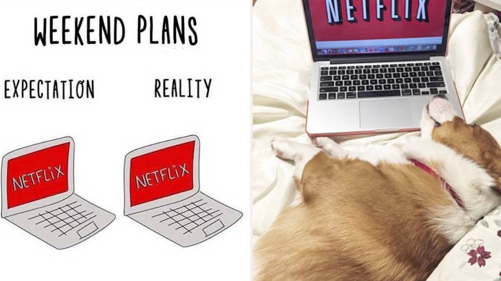 25 Hilarious Netflix Memes Only True Fans Will Understand
