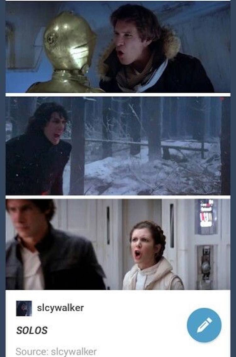 25 Hilarious Star Wars Han Solo Family Memes, image size:750x1136