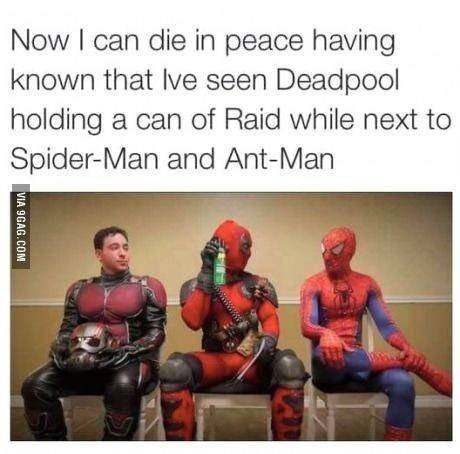Deadpool: 25 Hilarious Memes That Will Laugh Us Into The Newest Movie