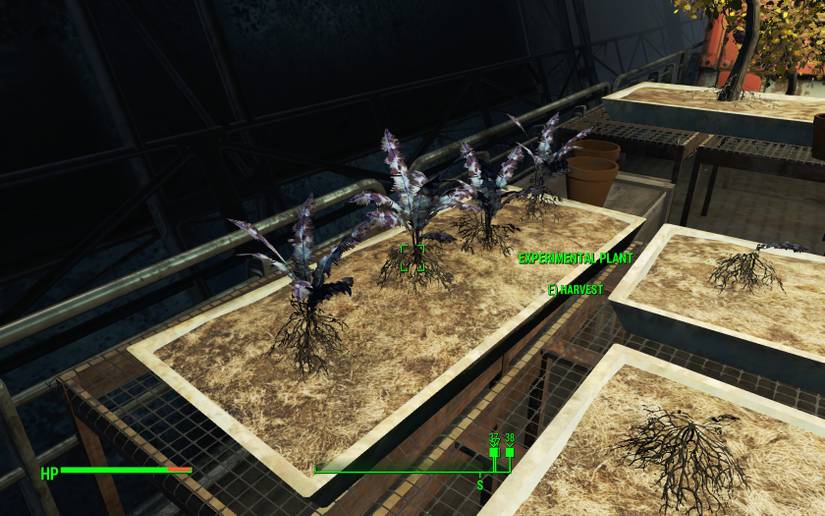 25 Hidden Messages In Fallout 4