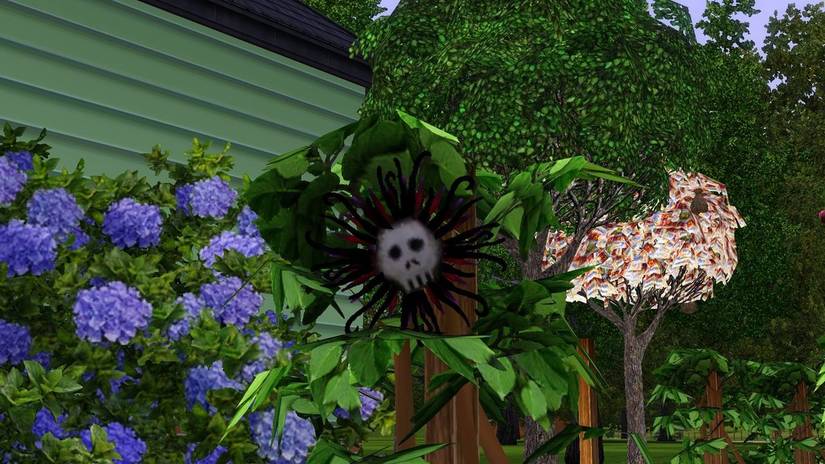 25 Things Most Sims Players Don't Realize They're Doing Wrong