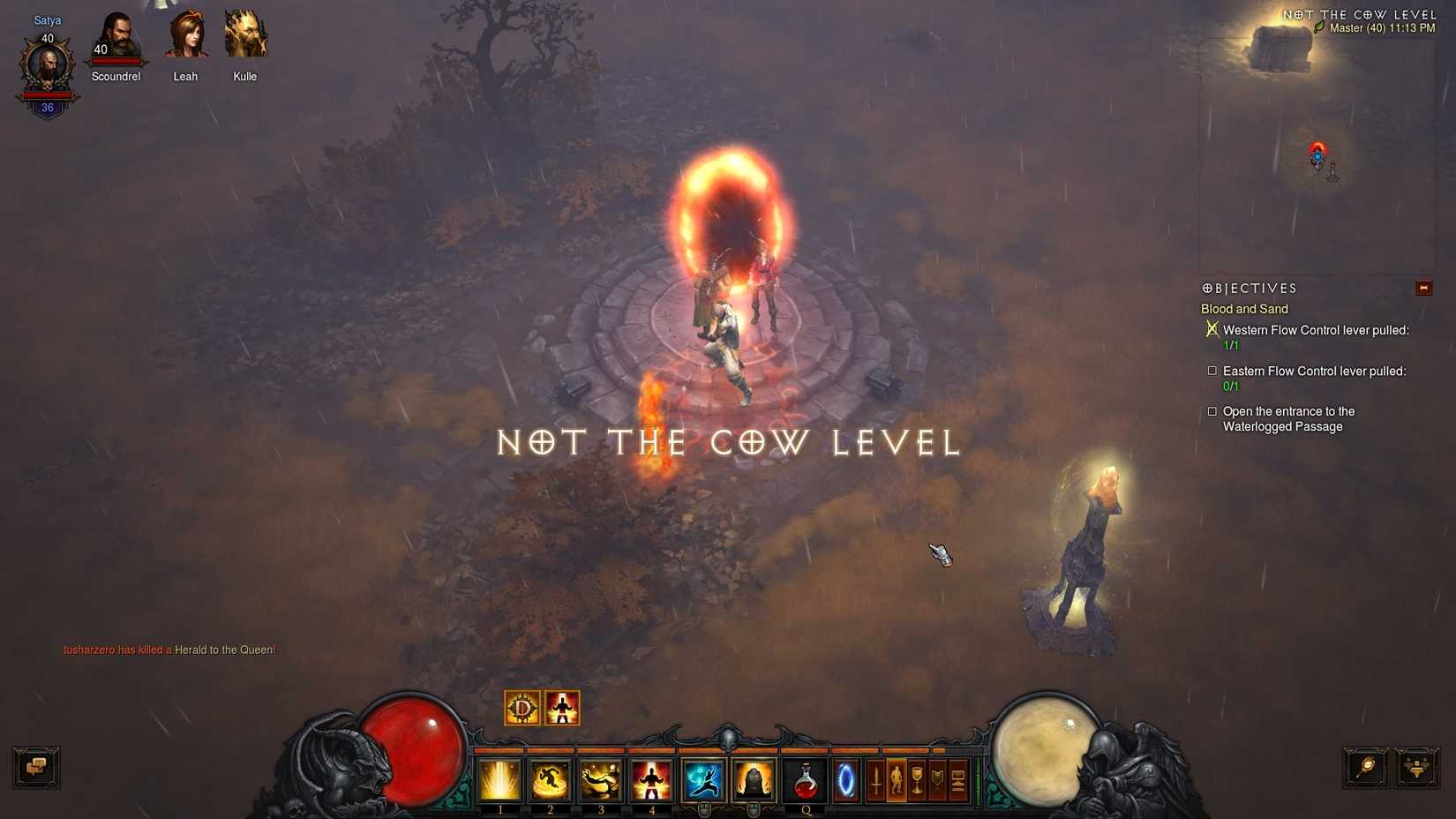 Not the cow level