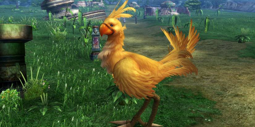 The Best Birds In Video Game History