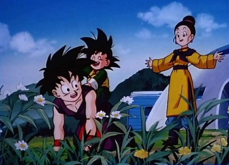 Dragon Ball: 25 Things Chi-Chi Can Do That Goku Can’t