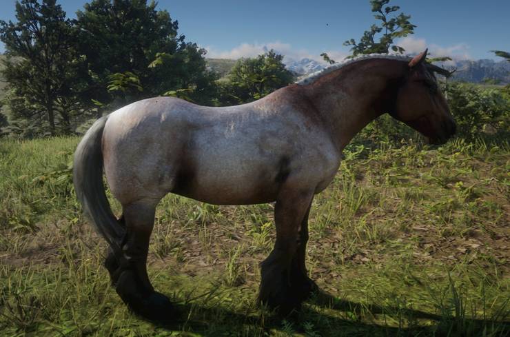 Red Dead Redemption 2 10 Best Horses Ranked Thegamer