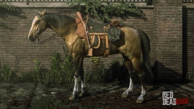 Red Dead Redemption 2 10 Best Horses Ranked Thegamer