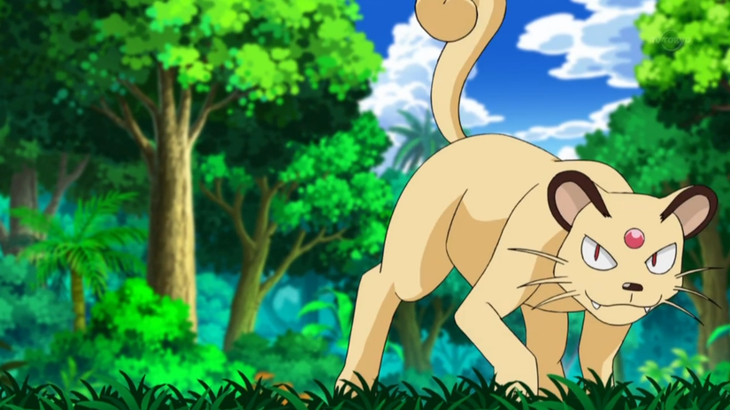 Pokémon Red And Blue: 25 Tricks From The Game Players Have No Idea About