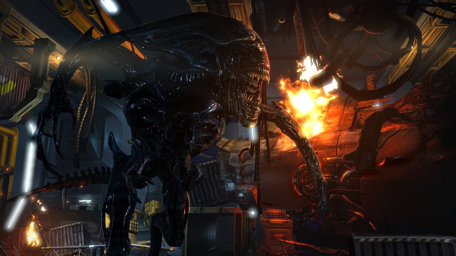 Forget Blackout - An Alien MMO FPS Is Also In Development