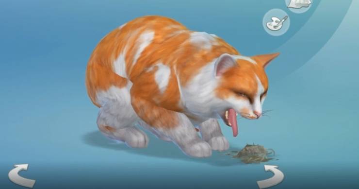 The Sims 4 8 Things Most Players Don T Know Pets Can Do