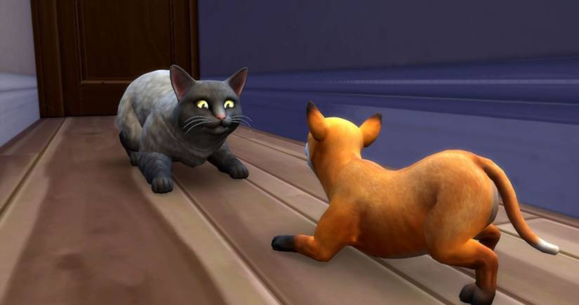 The Sims 4: 8 Things Most Players Don't Know Pets Can Do