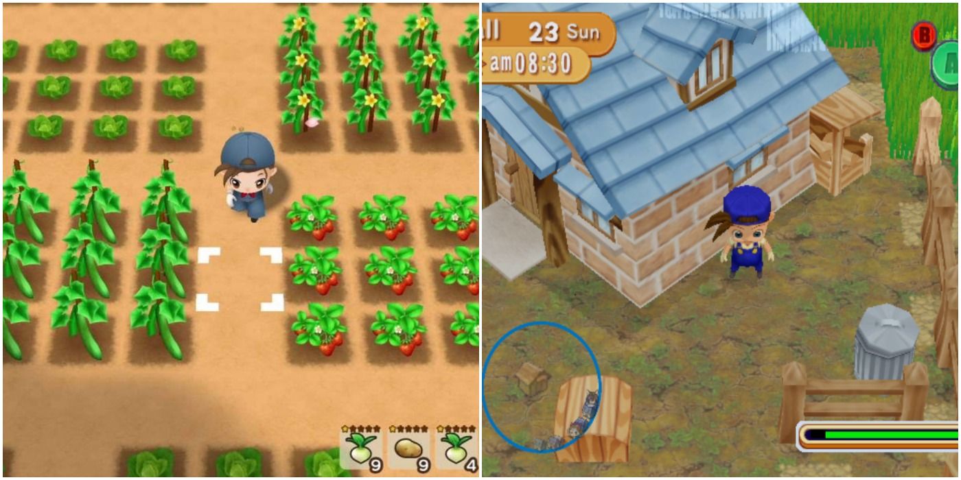 best harvest moon game for ds