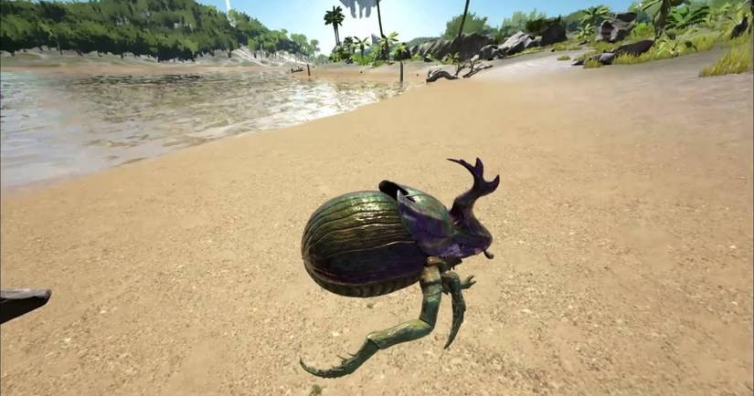 ARK Survival Evolved: 8 Tips To Tame A Dung Beetle