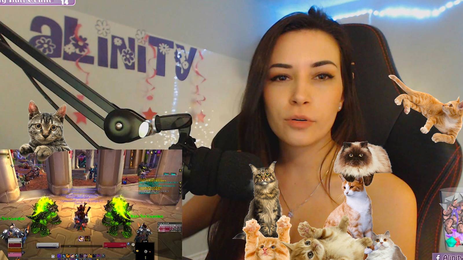 Streamer Who Threw Her Cat Will Not Be Banned On Twitch, But Her ...