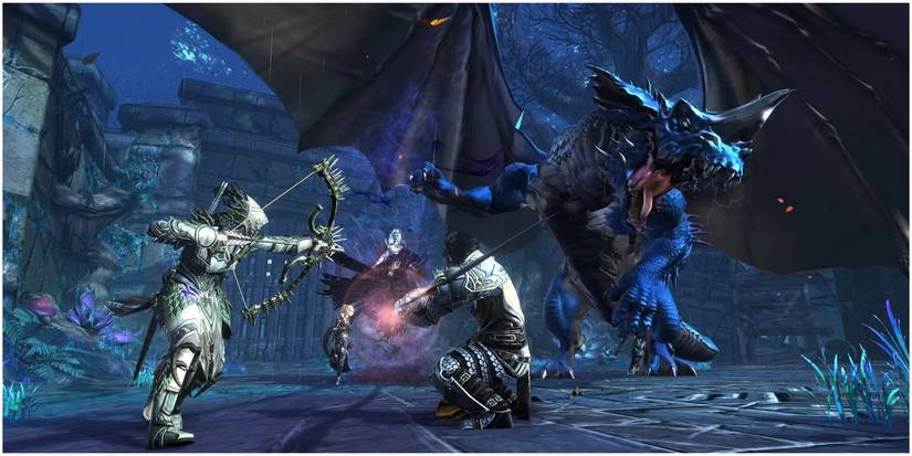 Neverwinter MMO Characters Fighting Dragon