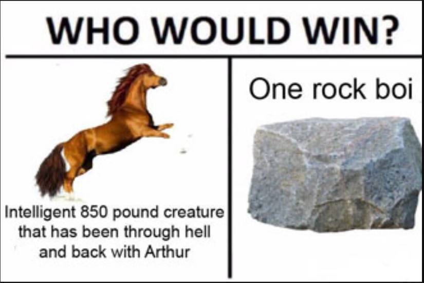 10 Hilarious Red Dead Redemption Logic Memes Everyone Can Relate To