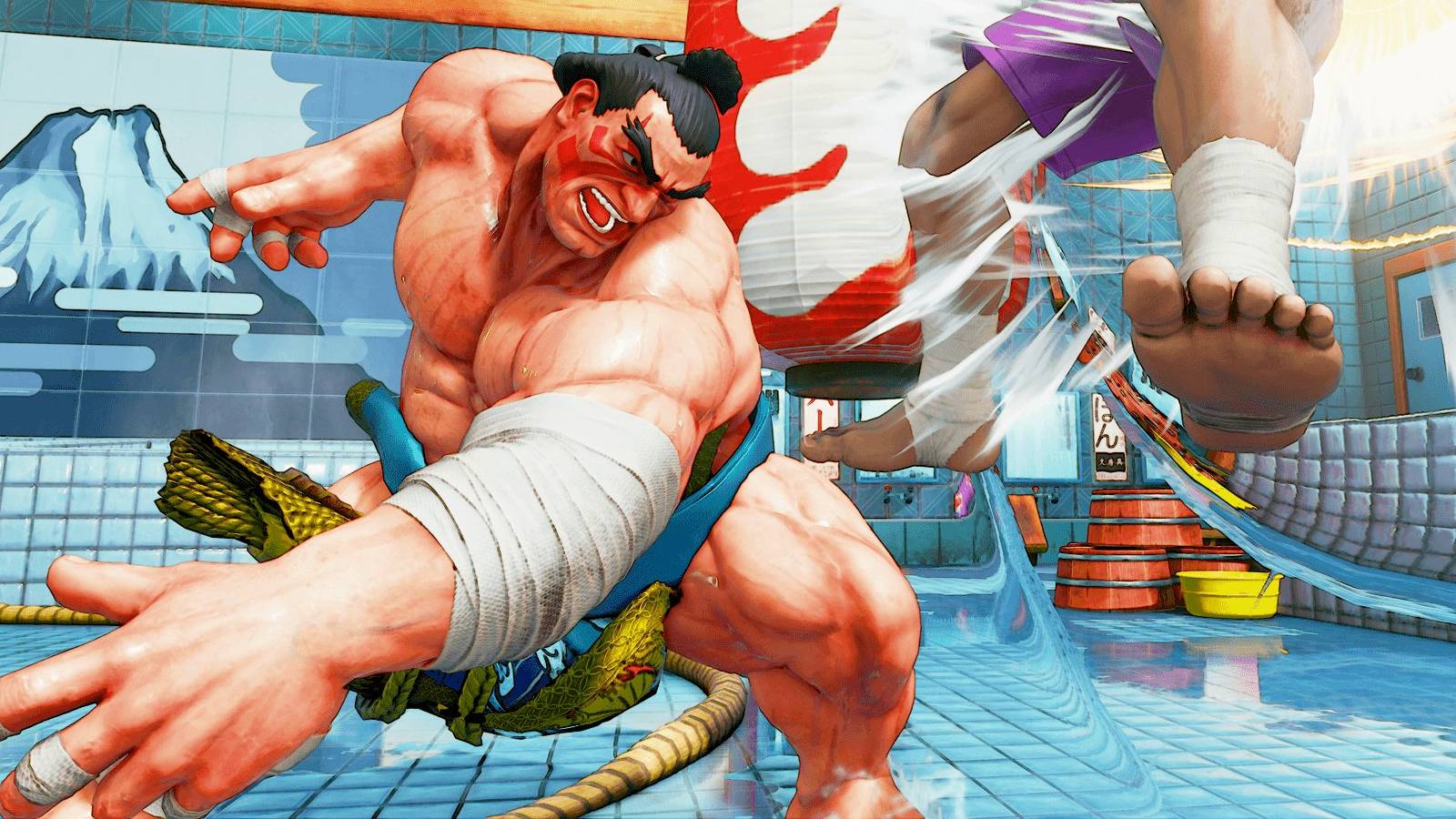 New Street Fighter V Characters Leaked