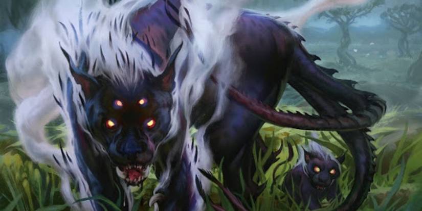 companion cards mtg Raptor Companion [Ixalan]