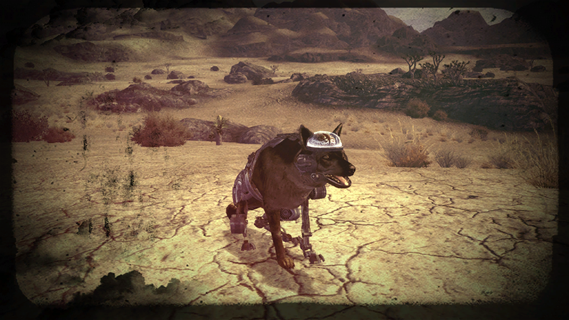 10 Hidden Secrets You Never Knew About In Fallout: New Vegas