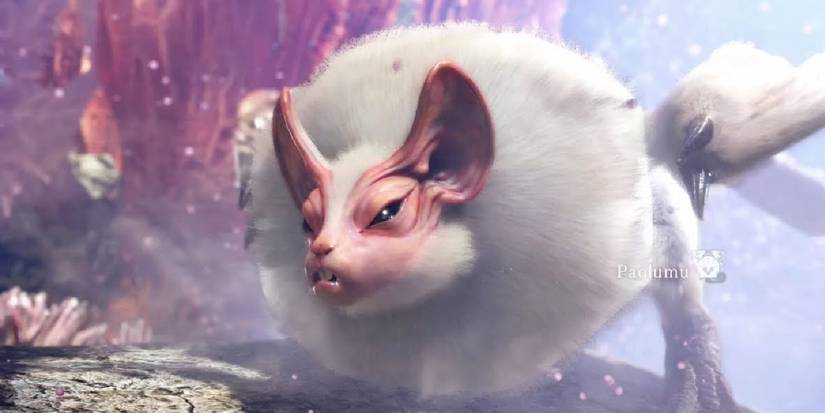 Monster Hunter: The 10 Weirdest Creatures In The Franchise, Ranked