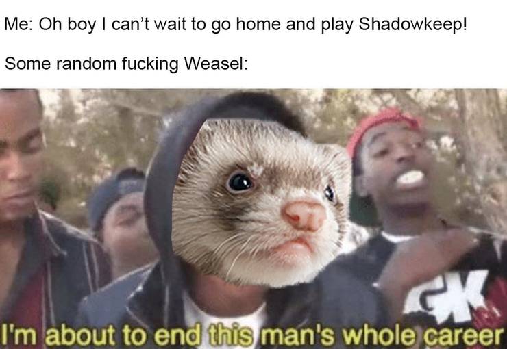 Télécharger gratuitement Images 10 Hilarious Destiny 2 Shadowkeep Memes Only True Fans Understand actualisé salutations