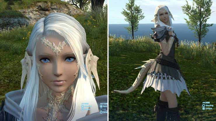 10 Best Custom Characters Made In Final Fantasy 14 Thegamer