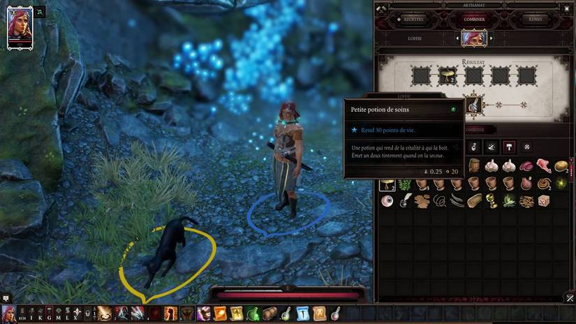 10 Things That Make No Sense In Divinity: Original Sin 2