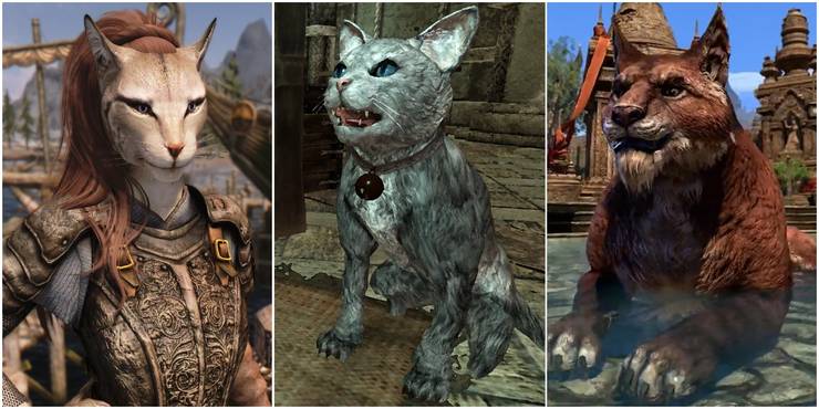 What Breed Of Khajiit Are In Skyrim