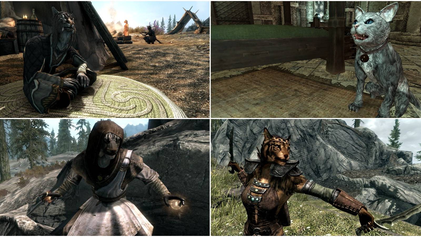 The Elder Scrolls: 10 Things You Didn't Know About The Enigmatic Khajiit, image size:1600x900