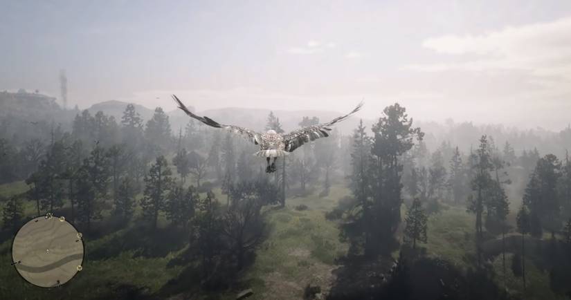Bird Man Rdr2 Red Dead Redemption 2: Play As Any Animal